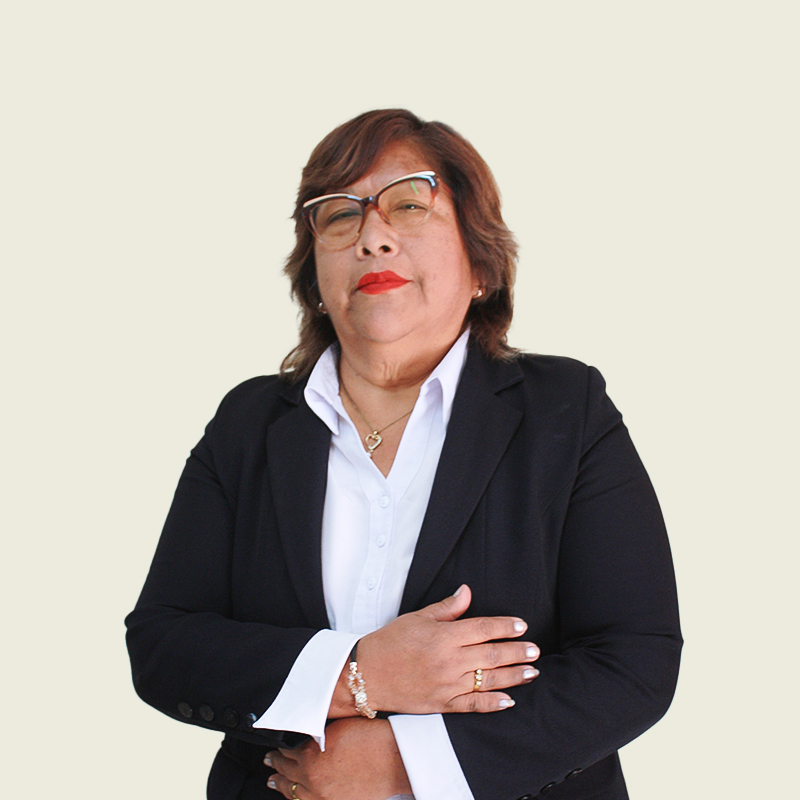 Prof. Miriam Luz Flores Velásquez